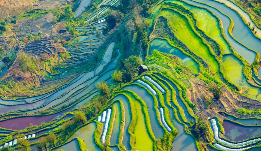 横县产品视频拍摄